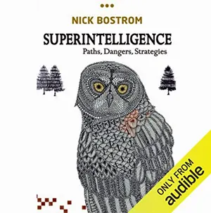superintelligence paths dangers strategies